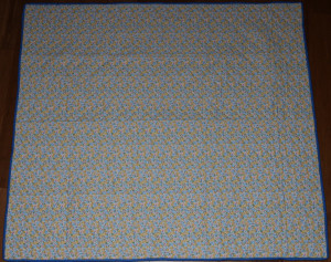 BlueEdgeQuilt
